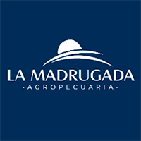 La madrugada